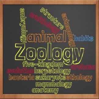 Zoology