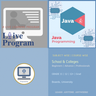 Java Programming Language